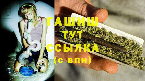 дживик Арсеньев