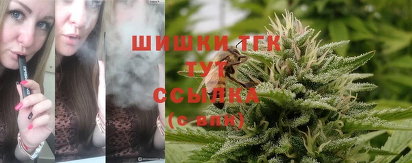 дживик Арсеньев