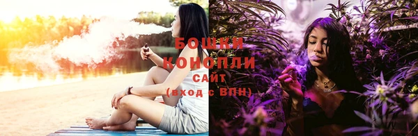 ПСИЛОЦИБИНОВЫЕ ГРИБЫ Аркадак